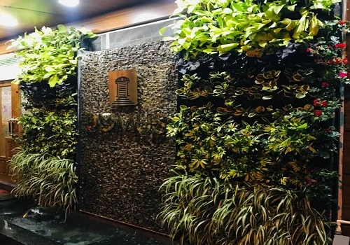 Terrace Garden Services Provider in Noida