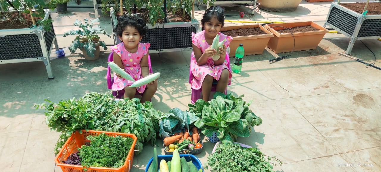 Organic Farming Services in Gurgaon, Noida, Delhi, Ghaziabad