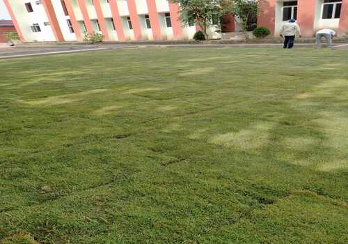 Landscaping services in Noida , Gurgaon , Faridabad